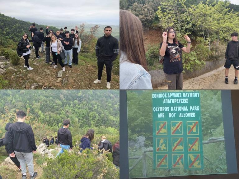 Μονοπάτια γνώσης στον Όλυμπο: Βιωματική εμπειρία οικολογίας για μαθητές του Γυμνασίου Τρικάλων Ημαθίας