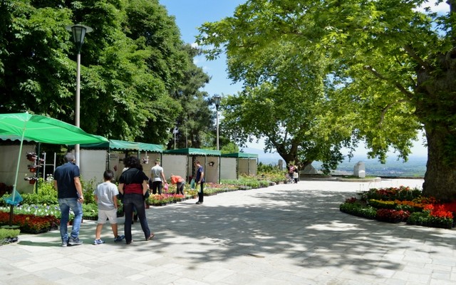 Εκδήλωση ενδιαφέροντος για την  7η Ανθοκομική Έκθεση του Δήμου Νάουσας