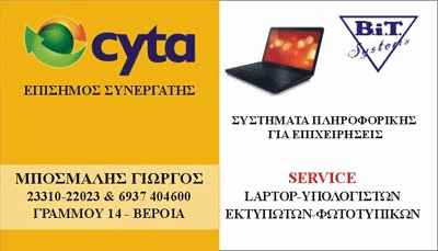 bit systems