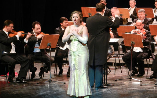 Vienna Classic Orchestra 003