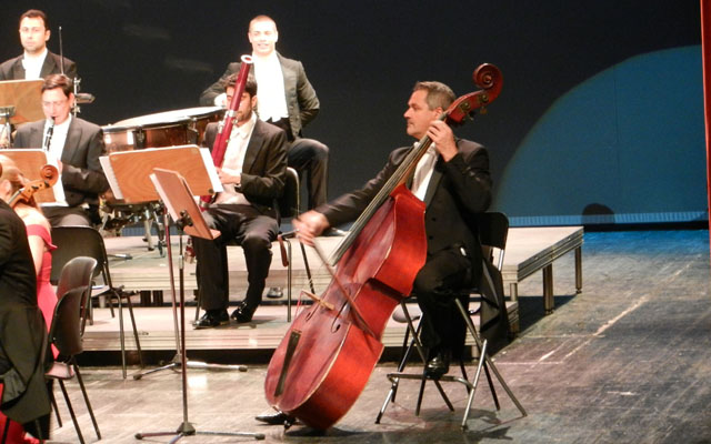 Vienna Classic Orchestra 006