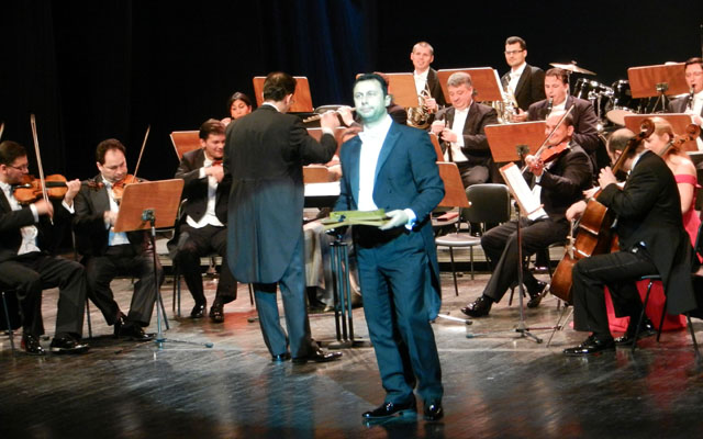 Vienna Classic Orchestra 007