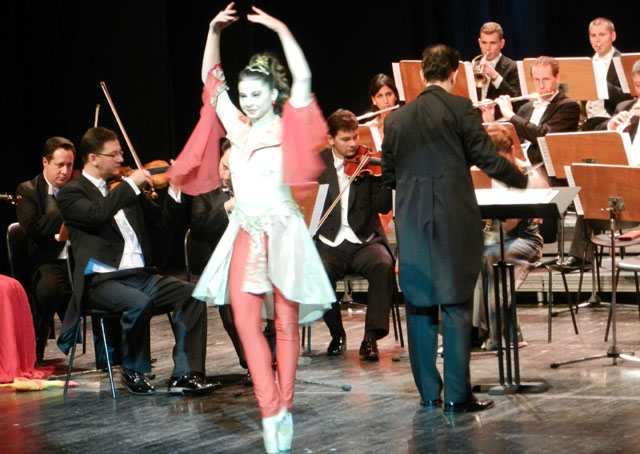 Vienna Classic Orchestra 008