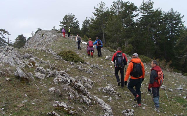 sxov voulgara2