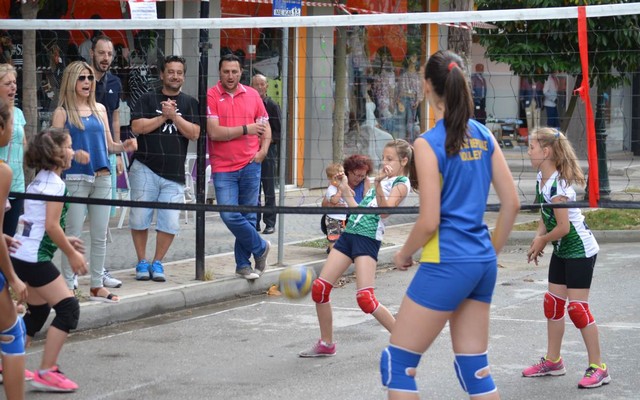 mini volei1