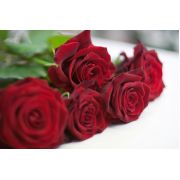 roses