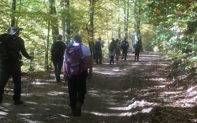 oreivates peternik1