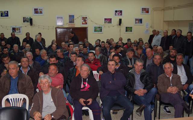 agrotes ver mak1