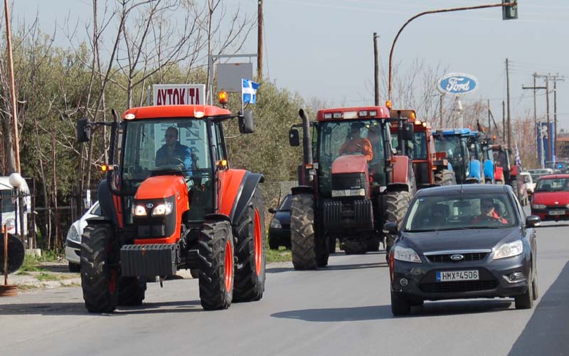 agrotes alex
