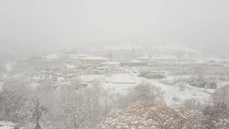 xioni2 081919