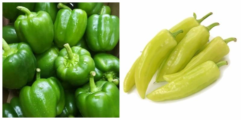 piperies