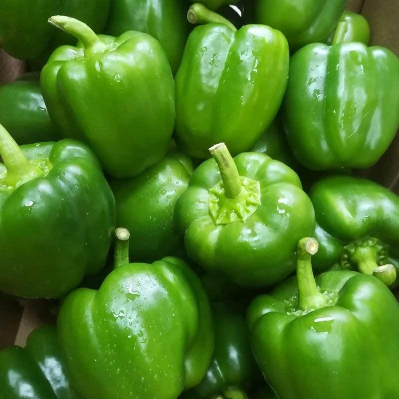 piperies gemistes
