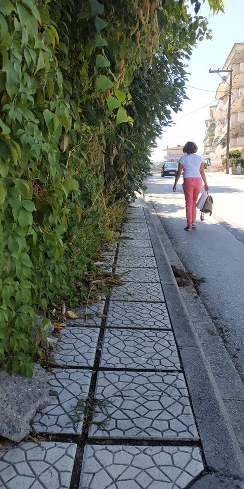 vlastisi 5o dim2