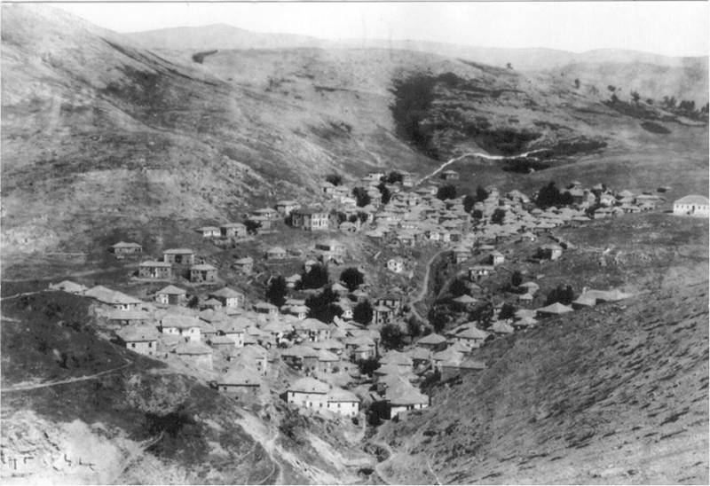 seli 1923