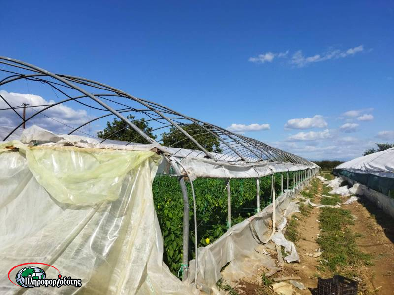 307588842 939381237464978 6274427300284452725 n