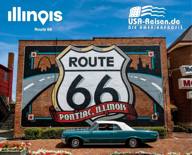 falken Illinois Bild
