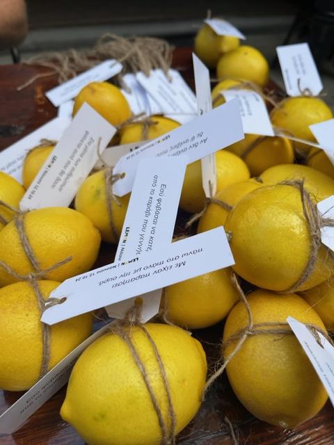 lemon drasi Photo 1 12.10.24