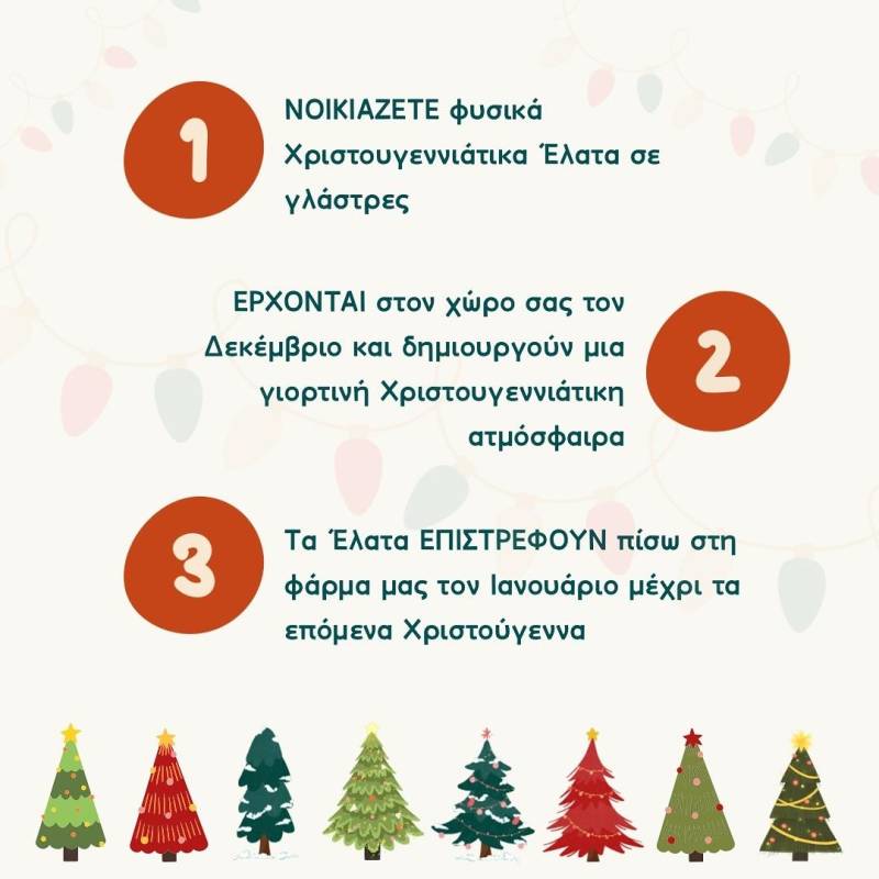 seli xmas tr1