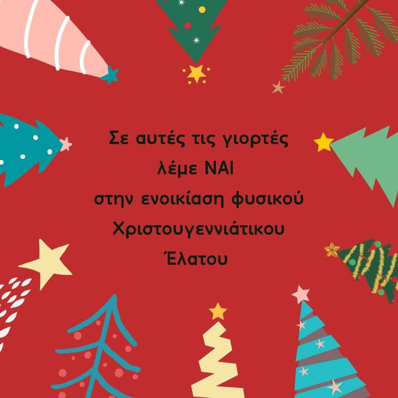 seli xmas tr2