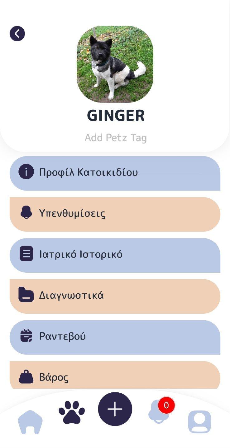 queens app 1