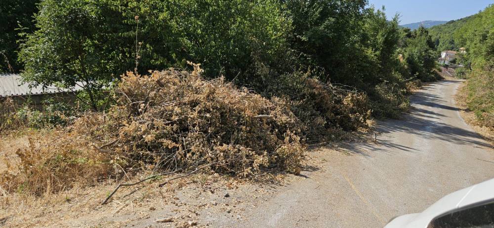 εικόνα Viber 2025 07 28 12 55 26 465
