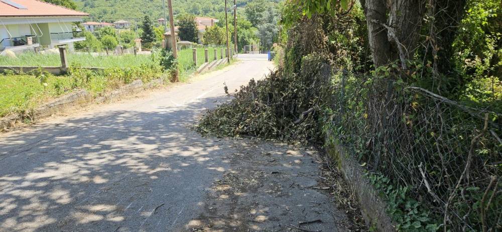εικόνα Viber 2025 07 28 12 55 29 168